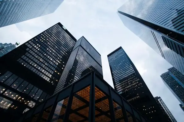Real Estate & Builders